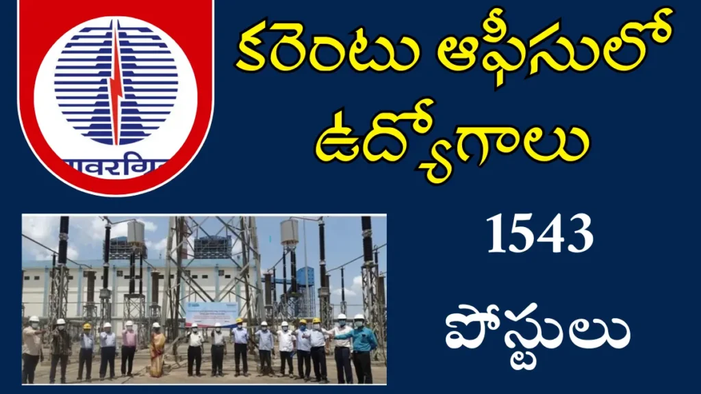 PGCIL Notification 2025