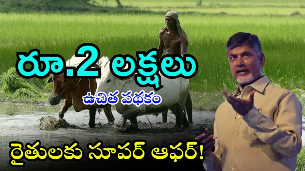 AP Pashu Shed Scheme