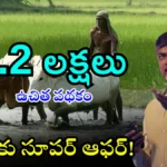 AP Pashu Shed Scheme