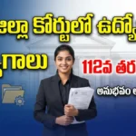 DLSA Nellore Recruitment 2026 Record Assistant