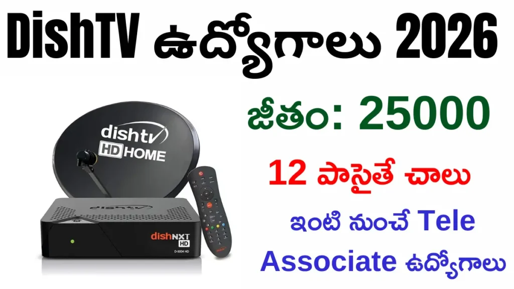 DishTV Work From Home Jobs 2026