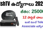DishTV Work From Home Jobs 2026
