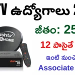 DishTV Work From Home Jobs 2026