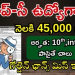 Indian Navy Andaman Nicobar MTS LDC Recruitment 2026