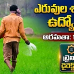 RCFL Operator Trainee Recruitment 2026