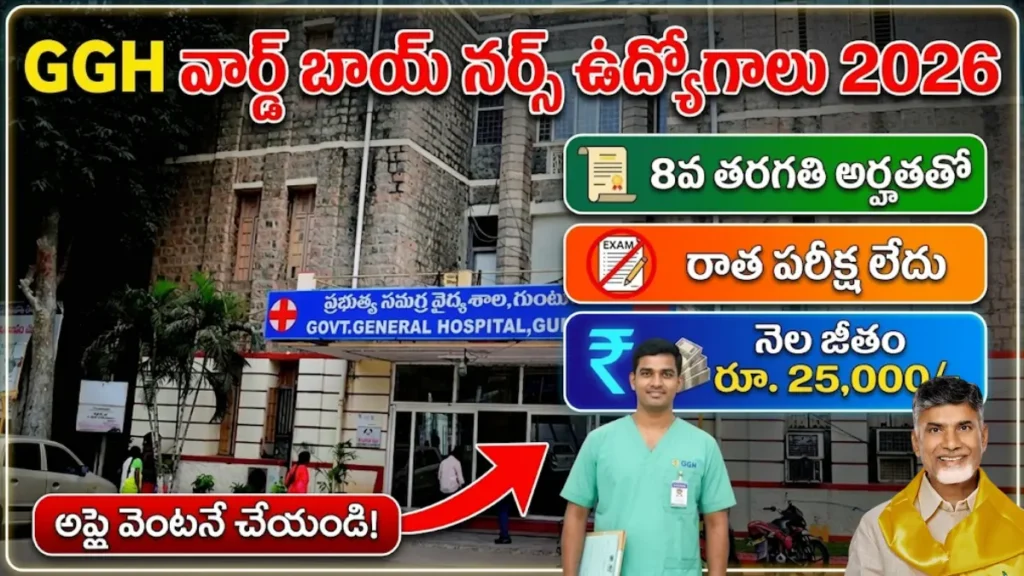 Ward Boy Jobs Nellore GGH 2026