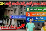 Ward Boy Jobs Nellore GGH 2026