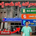 Ward Boy Jobs Nellore GGH 2026